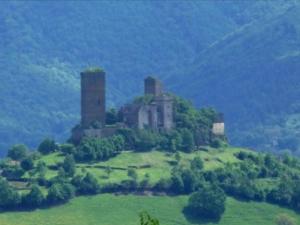 Villas Manoir 4* calme pres coeur historique cite ST Cere : photos des chambres