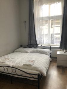 Cozy Homestay at Prague Main Station