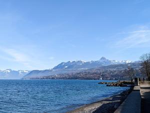 Appartements Superbe Appartement Bord du Lac : photos des chambres