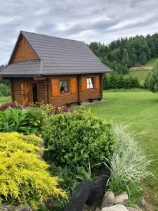 Przysłopiańska dacza - Obidza