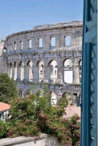 spectacular view of the colloseum