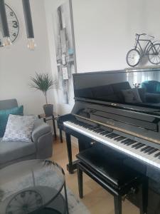 Piano Penthouse Apartment