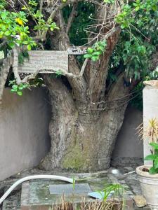 Cozy Crner Kitehouse