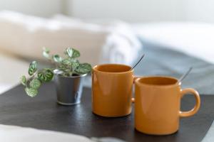 Moscova Design Studio