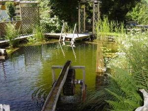 Pension & Appartement Steinwender