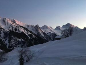 Appartements L'Oree des Aravis - Au pied des pistes : photos des chambres