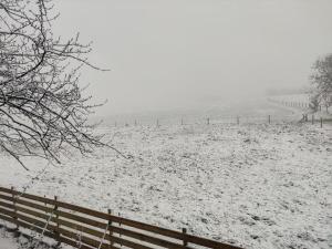 Le grand gîte dAngélique en Normandie - 4 personnes