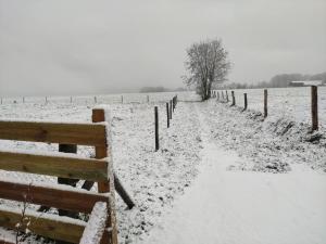 Le grand gîte dAngélique en Normandie - 4 personnes