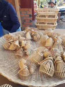 Bloom Garden Bed & Breakfast