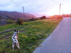 Hotel Os Faroles playa de Esteiro