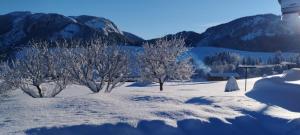 Appartements La Grange de Pimberty - Beautiful apartments 27 miles from Geneva : photos des chambres