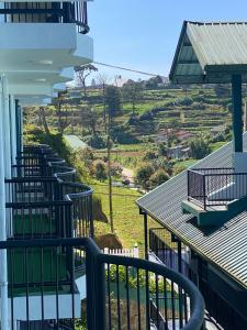 Growing Beyond apartment