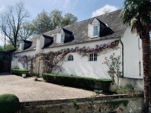 Appartements Le Petit Bourdieu - Sanglier : photos des chambres