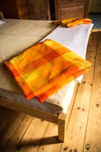 Medainie apartamenti