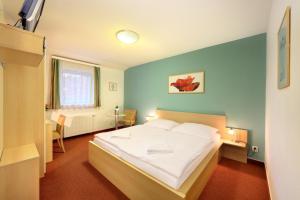 Standard Double Room room in Penzion Krumlov - B&B