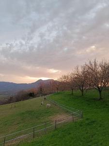 Maisons de vacances Le Perchoir du Vercors - Panorama sur les Cimes : photos des chambres