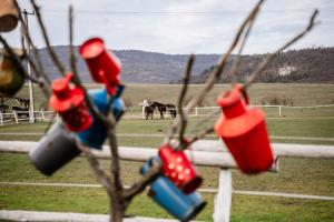 Boldizsár Lovas Ház