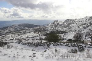 Primor Serra AL