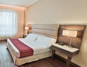 Holiday Inn Bucaramanga Cacique by IHG