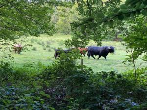 Naturskøn landidyl på Ibækgaarden - I egen bolig