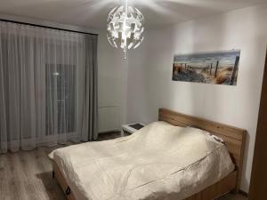 Apartament Zlota Jesień 2C