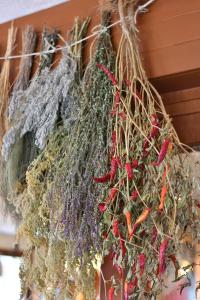 Agriturismo Ai Pradons