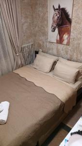 APARTAMENT-DAMO