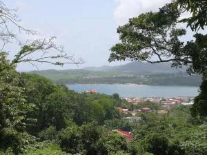 Le Cacaoyer - Quartier Birot