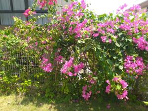 Biêt thự trong Wyndham Garden Cam Ranh