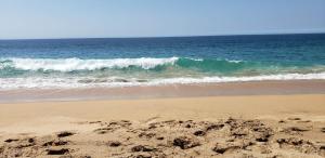 Villa Jardin de Mariposas