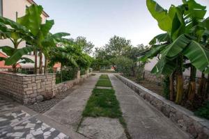 Apartments in Starigrad-Paklenica 43533