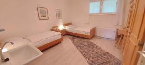 Apartment in Bad Mitterndorf - Steiermark 36996
