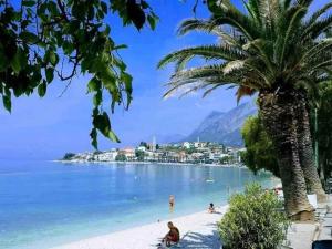 Apartment in Gradac - Makarska Riviera 43536 