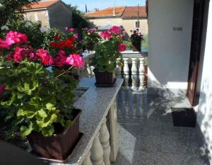 Apartments in Cizici - Insel Krk 43569 