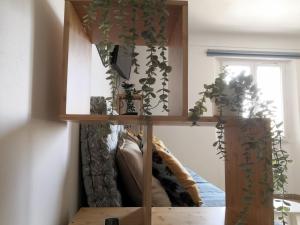 Appartements spacieux logement vieil antibes climatise 5 minutes plages : photos des chambres