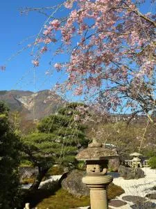 Onsen & Garden -Asante Inn- - Sekimoto