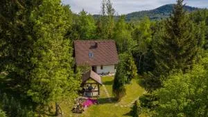 Holiday home in Delnice - Gorski Kotar 43959 - 洛克维