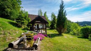 Holiday home in Delnice - Gorski Kotar 43959