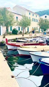 Apartment in Vinjerac - Paklenica Riviera 43600 