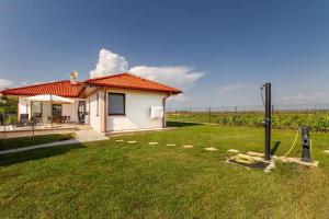 Holiday home in Buzsak - Südtransdanubien 43397