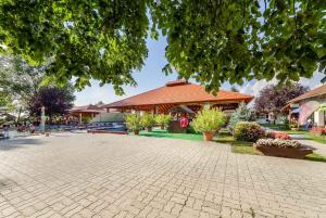 Holiday home in Buzsak - Südtransdanubien 43397