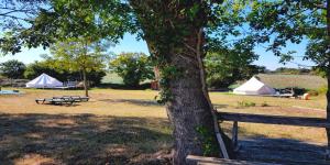 Campings Camping La Petite Houmee : photos des chambres