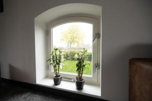 8 person apartment with heated swimmingpool Hoek van Winssen