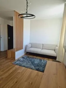 Pont de Sèvres : Appart neuf proche Paris - 塞夫尔