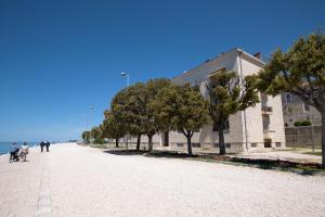 Studio Apartment Jader