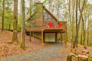 Bear in the Woods - Chestnut Gap