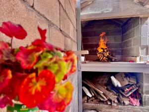 Conte Čikara Apartment