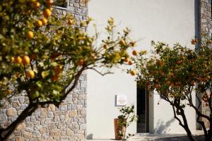 Citrus Grove Luxury Villas