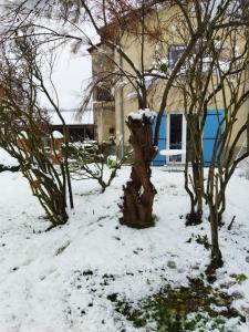 Maisons de vacances Chez Gustou : photos des chambres