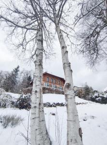 Hotels Le Manoir Au Lac : photos des chambres